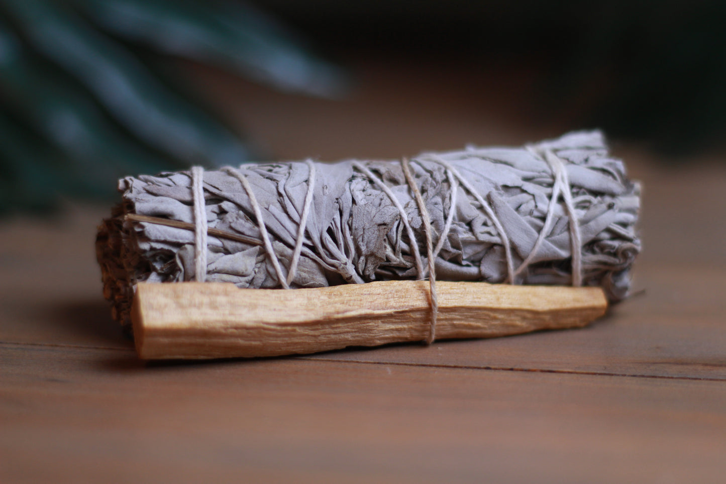 White Sage & Palo Santo
