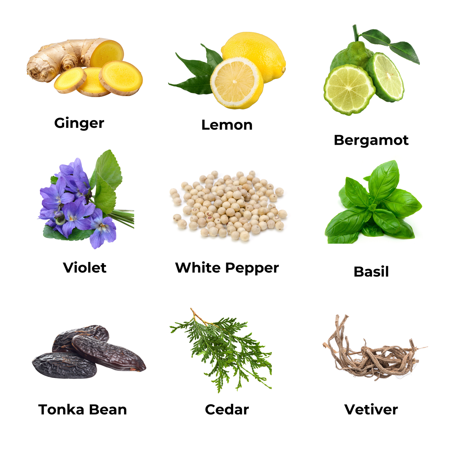 A 3x3 grid showing nine different whole and sliced botanical ingredients with their names printed below, including ginger, lemon, bergamot, violet, white pepper, basil, tonka bean, cedar, and vetiver, on a white background.