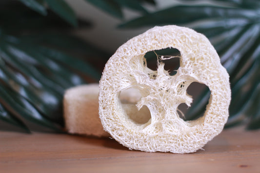 Eco-Friendly Loofah Sponge – Natural Exfoliator for Smooth, Healthy Skin