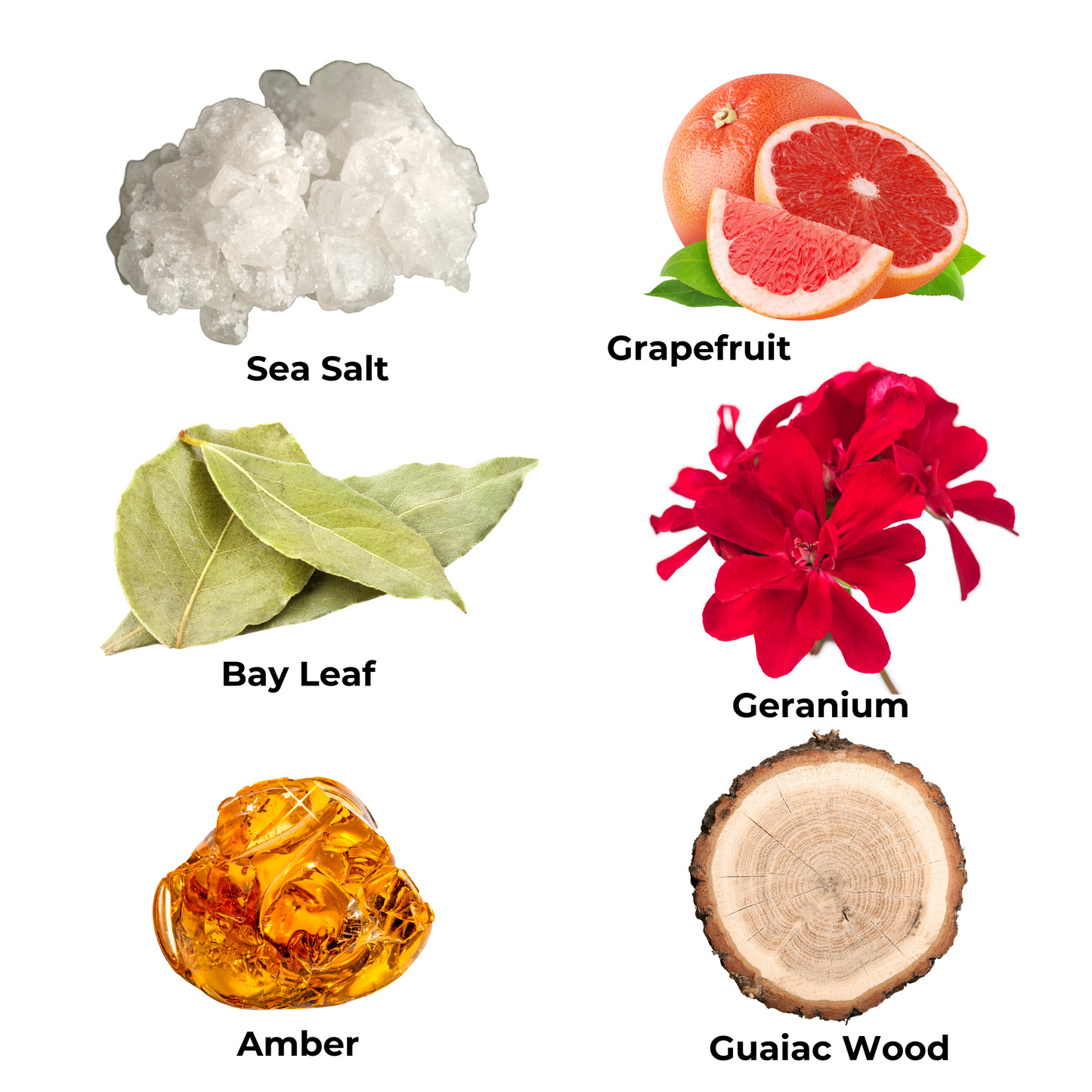 Scent notes: sea salt, grapefruit, bay leaf, geranium, amber, and guaiac wood