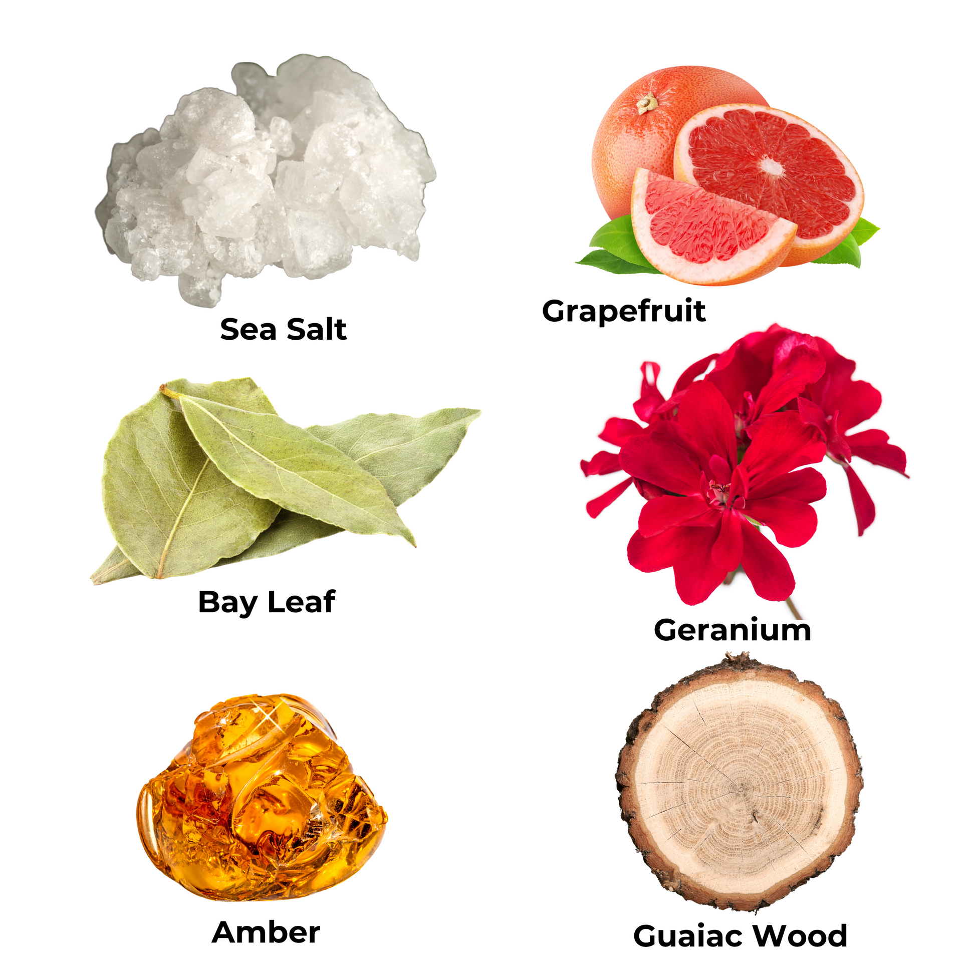 Scent notes: sea salt, grapefruit, bay leaf, geranium, amber, and guaiac wood