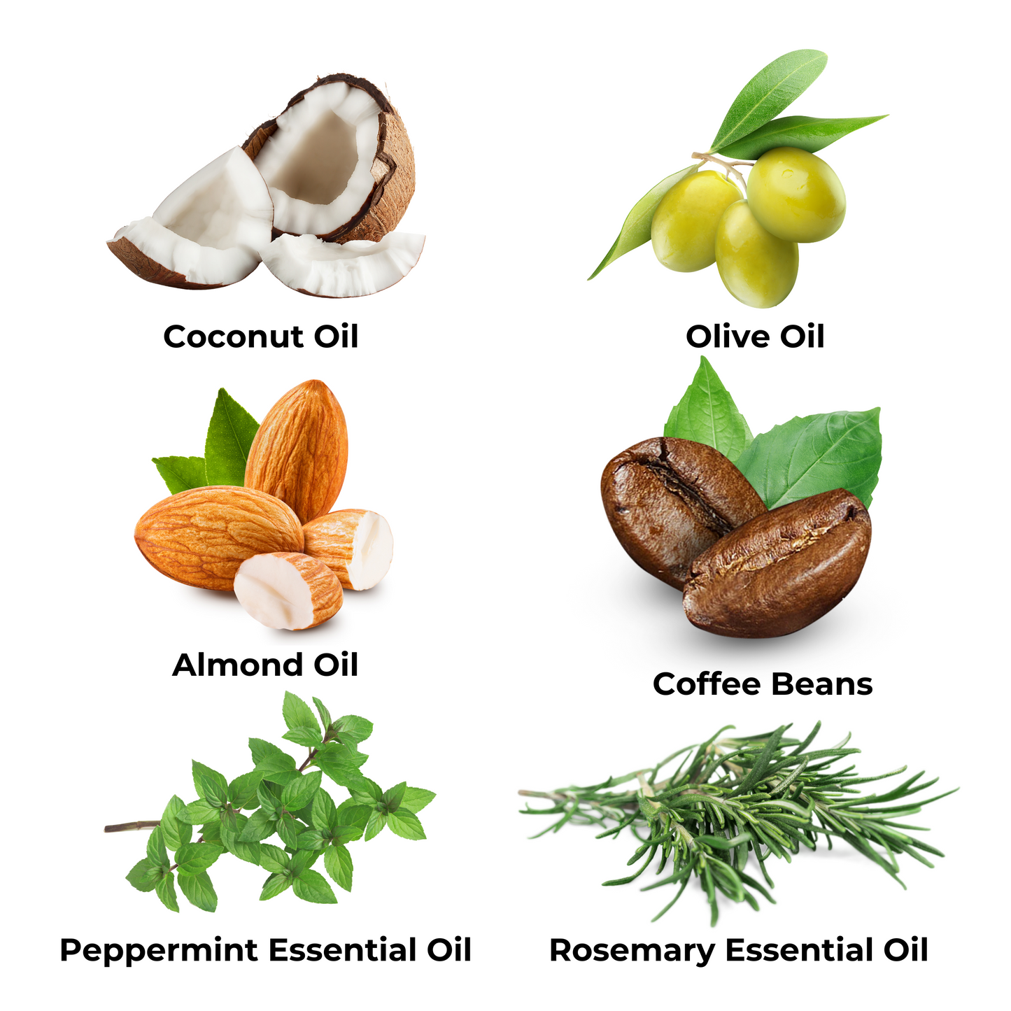 Ingredients: coconut oil, olive oil, almond oil, coffee beans, peppermint essential oil, and rosemary essential oil