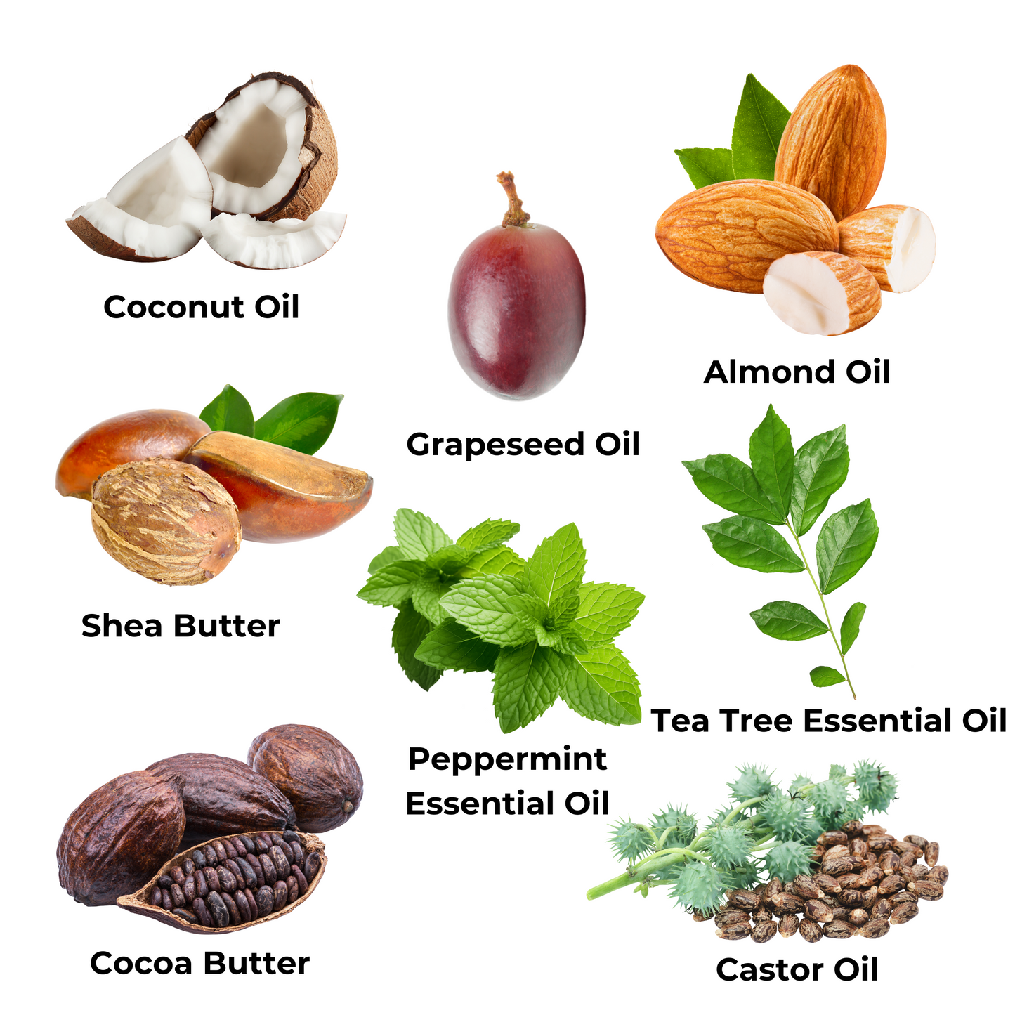 Ingredients: coconut oil, grapeseed oil, almond oil, shea butter, peppermint essential oil, tea tree essential oil, cocoa butter, and castor oil