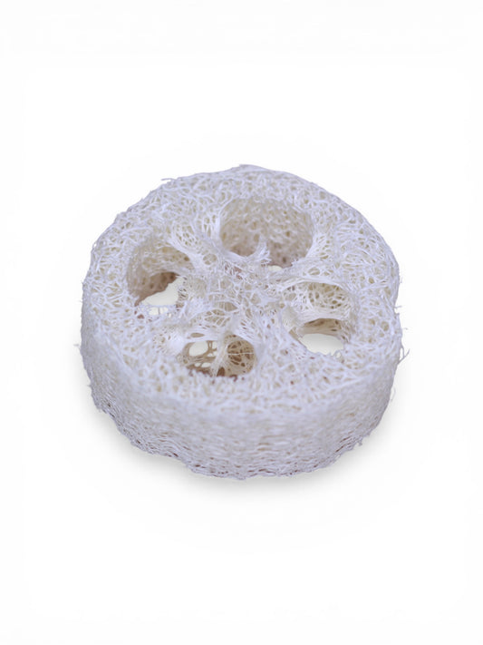 Eco-Friendly Loofah Sponge