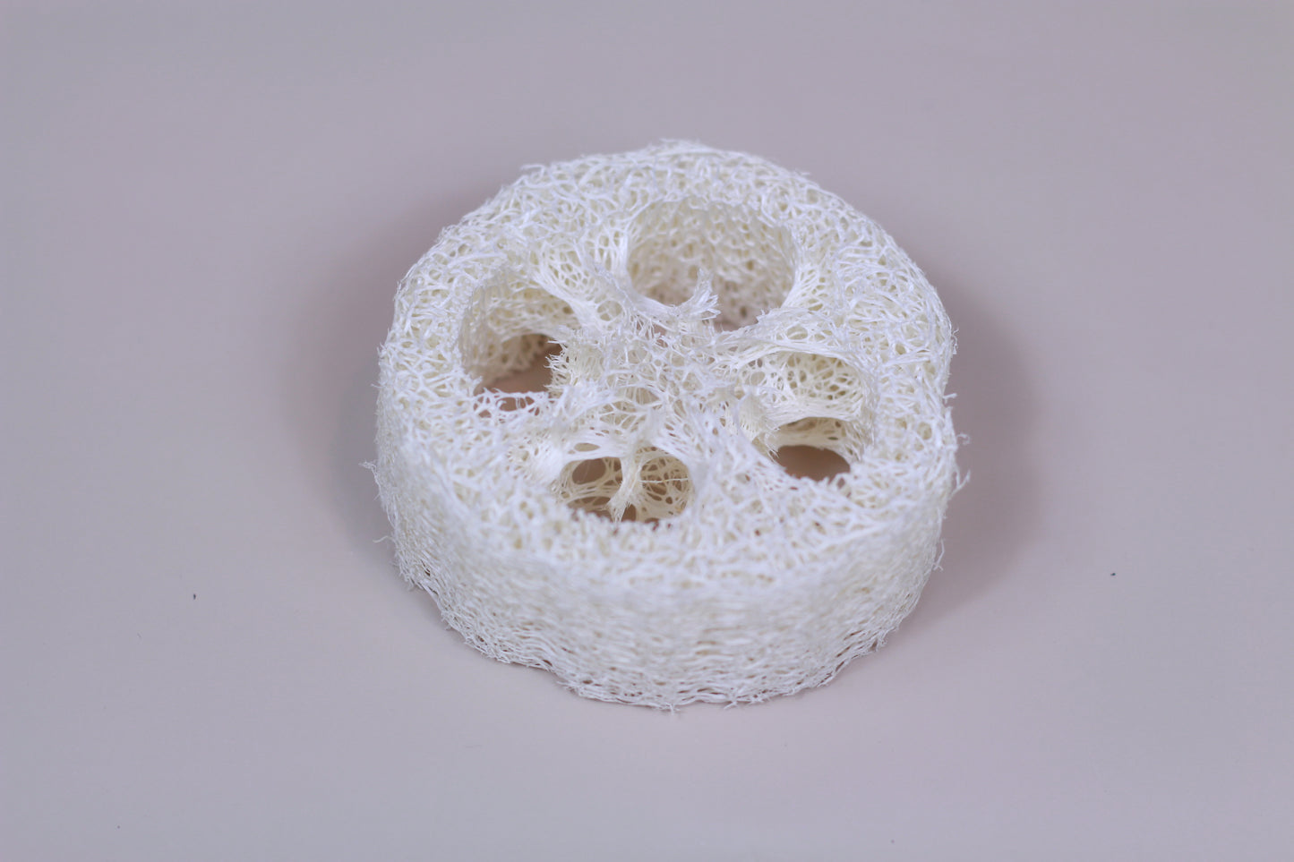 Eco-Friendly Loofah Sponge